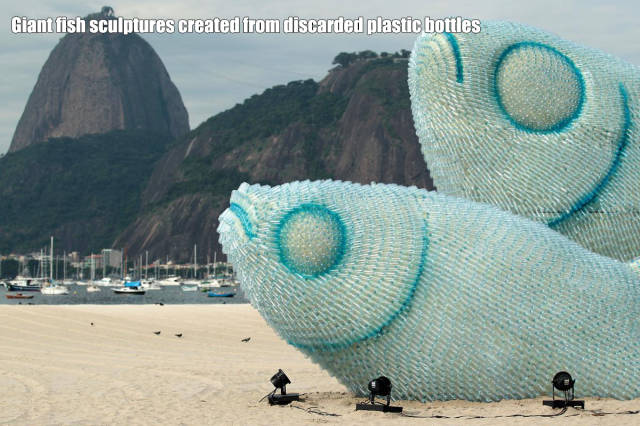 morning picdump 53 pics 21.html - 53 HD Photos | Premium Gallery 2016