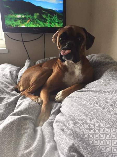 morning picdump 53 pics 21.html - 53 HD Photos | Premium Gallery 2016