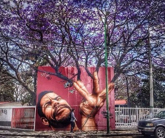 Fascinating Photos That Speak For Themselves