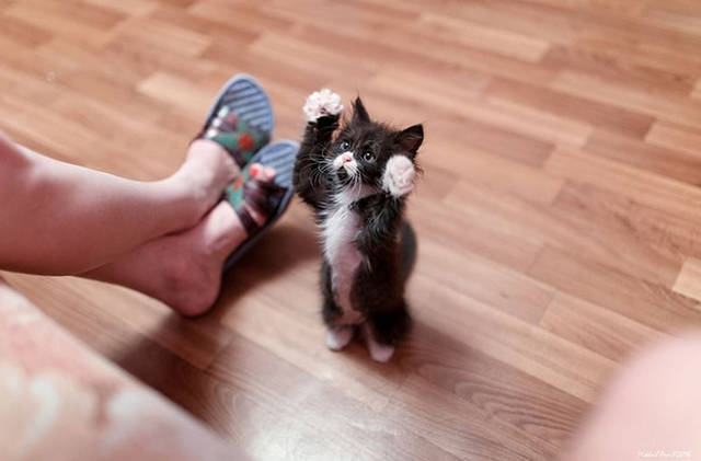 Fascinating Photos That Speak For Themselves