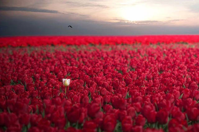 Fascinating Photos That Speak For Themselves