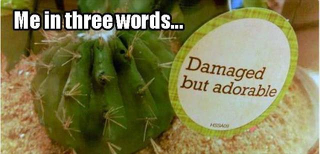 funny picdump 54 pics 21.html - 54 HD Photos | Premium Gallery 2016