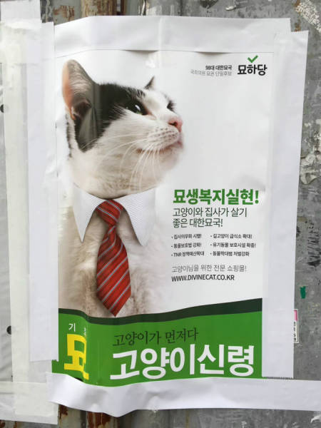 morning picdump 53 pics 6.html - 53 HD Photos | Premium Gallery 2016