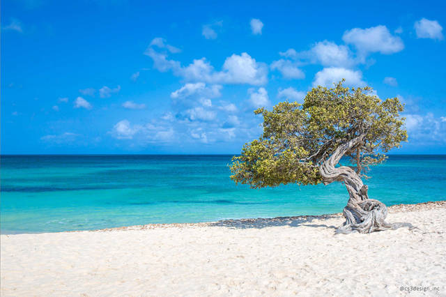 morning picdump 53 pics 6.html - 53 HD Photos | Premium Gallery 2016