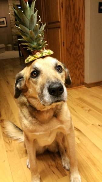 morning picdump 53 pics 6.html - 53 HD Photos | Premium Gallery 2016