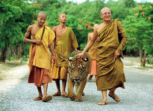 morning picdump 51 pics 3.html - 51 HD Photos | Premium Gallery 2016