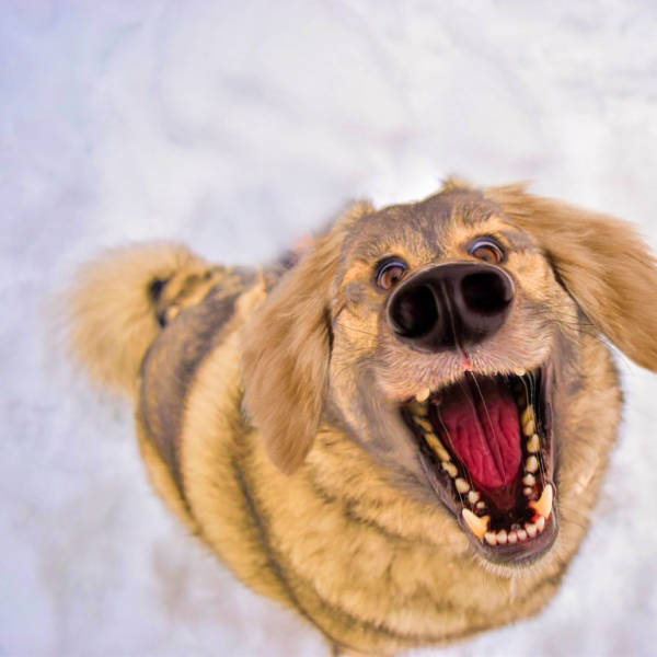 morning picdump 51 pics 3.html - 51 HD Photos | Premium Gallery 2016