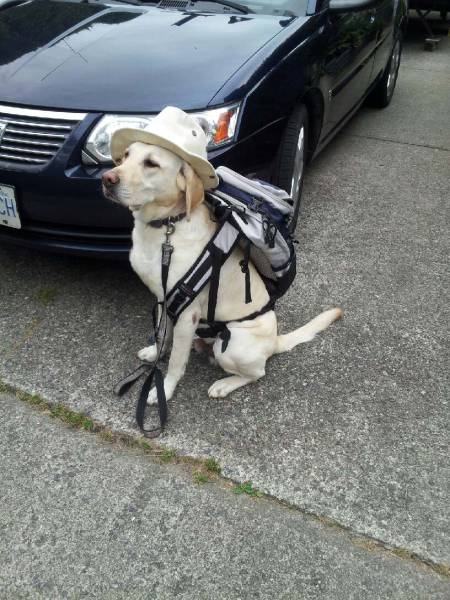 morning picdump 53 pics 3.html - 53 HD Photos | Premium Gallery 2016