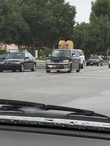 morning picdump 53 pics 3.html - 53 HD Photos | Premium Gallery 2016