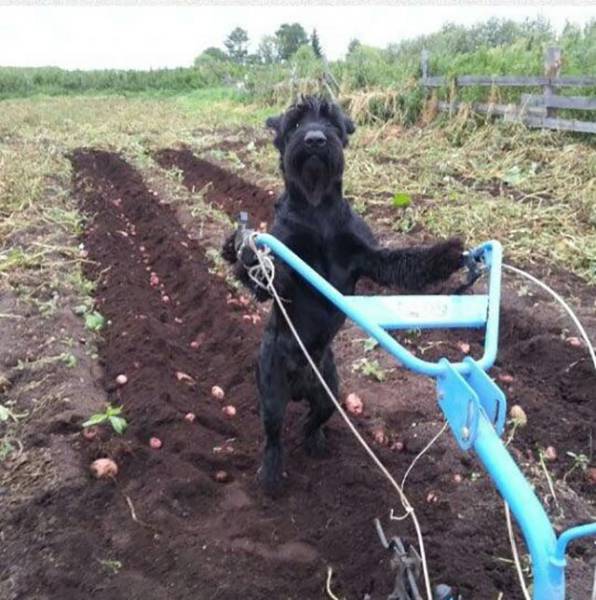 morning picdump 53 pics 3.html - 53 HD Photos | Premium Gallery 2016