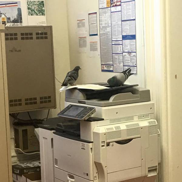 morning picdump 50 pics 2.html - 50 HD Photos | Premium Gallery 2016