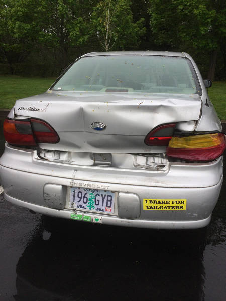 morning picdump 53 pics 13.html - 53 HD Photos | Premium Gallery 2016