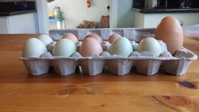 morning picdump 53 pics 13.html - 53 HD Photos | Premium Gallery 2016