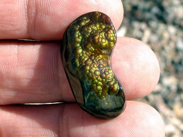 morning picdump 53 pics 13.html - 53 HD Photos | Premium Gallery 2016