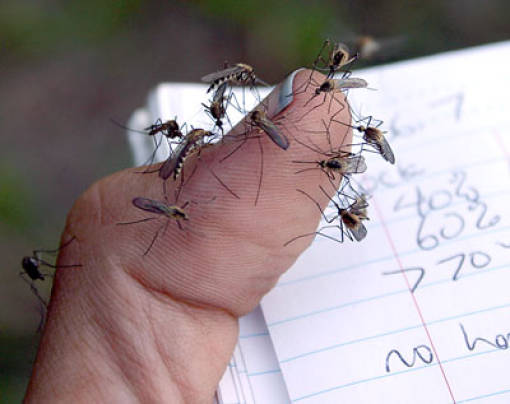 Sometimes the Only Question is WTF?