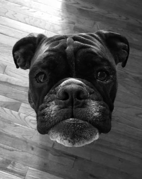 morning picdump 50 pics 2.html - 50 HD Photos | Premium Gallery 2016