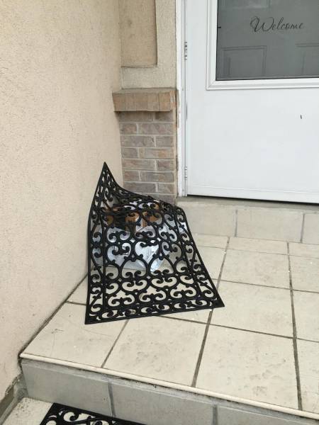 morning picdump 50 pics 2.html - 50 HD Photos | Premium Gallery 2016