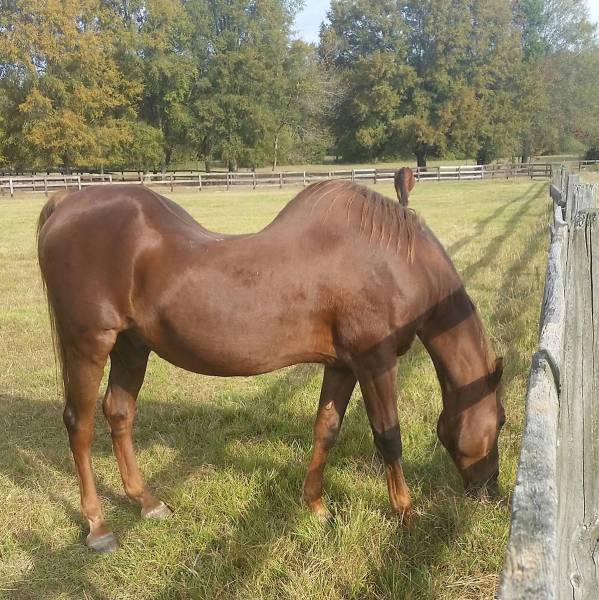 morning picdump 52 pics 2.html - 52 HD Photos | Premium Gallery 2016