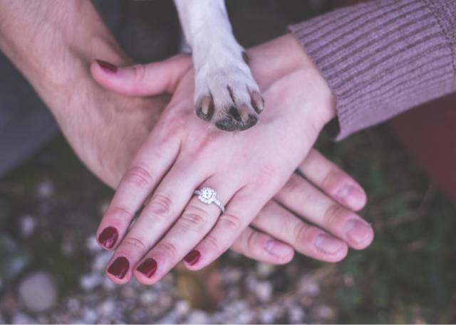 morning picdump 53 pics 14.html - 53 HD Photos | Premium Gallery 2016