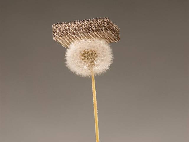 morning picdump 53 pics 14.html - 53 HD Photos | Premium Gallery 2016