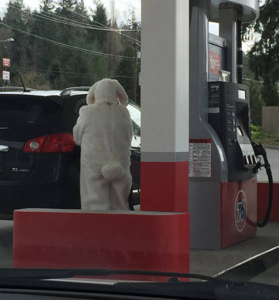 Another Batch Of Photos With Road Funnies