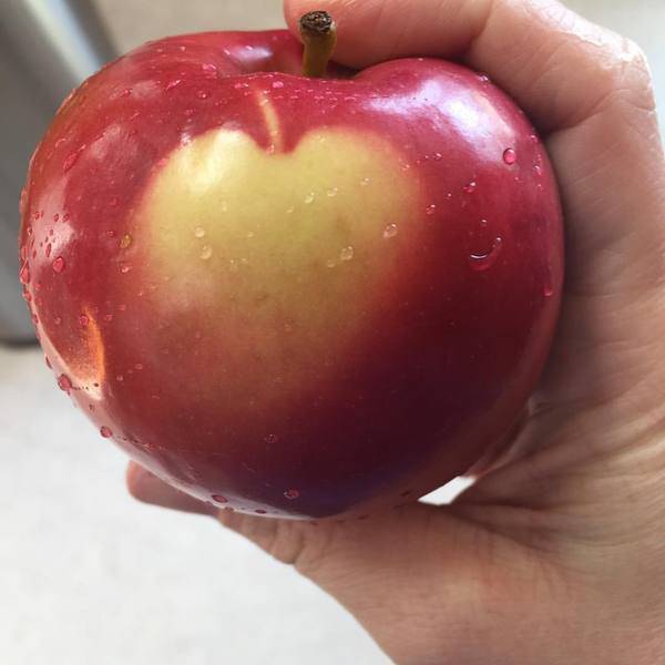 morning picdump 50 pics 15.html - 50 HD Photos | Premium Gallery 2016