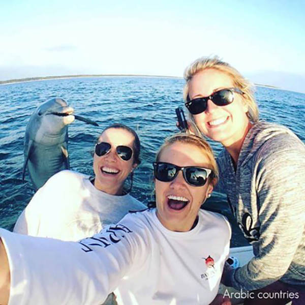 morning picdump 50 pics 15.html - 50 HD Photos | Premium Gallery 2016