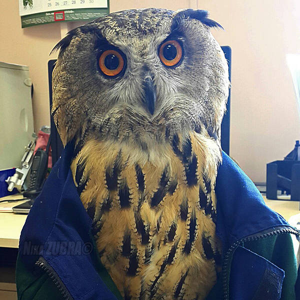 morning picdump 50 pics 15.html - 50 HD Photos | Premium Gallery 2016