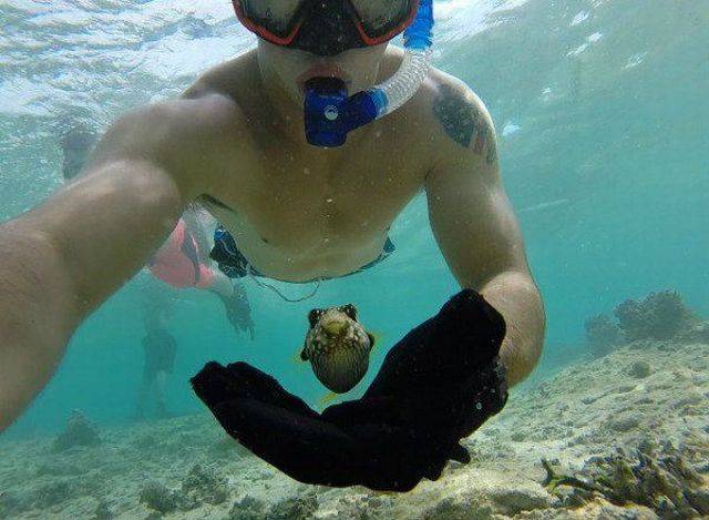 daily picdump 101 pics 46.html - 101 HD Photos | Premium Gallery 2016