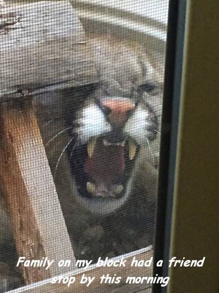 daily picdump 101 pics 46.html - 101 HD Photos | Premium Gallery 2016