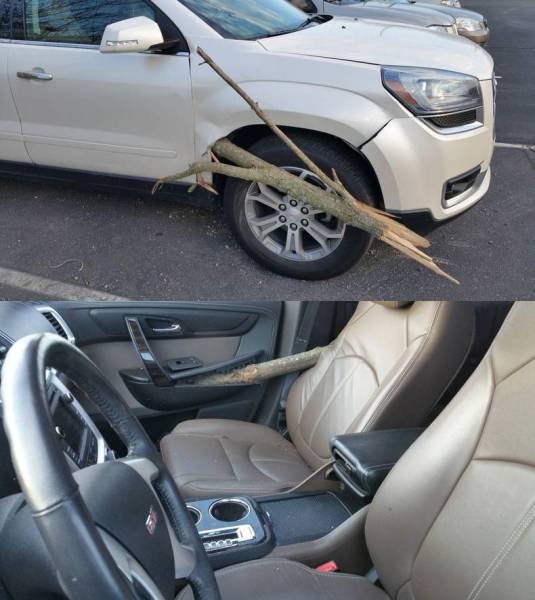 daily picdump 101 pics 46.html - 101 HD Photos | Premium Gallery 2016