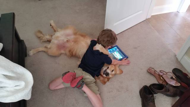 daily picdump 101 pics 46.html - 101 HD Photos | Premium Gallery 2016