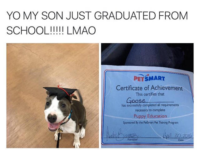 Hilarious Memes That Will Make Your Day