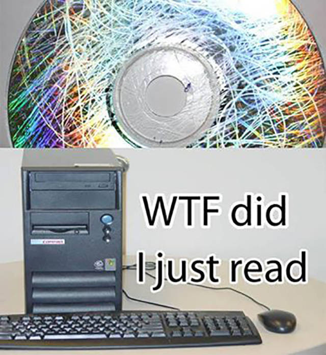 Hilarious Memes That Will Make Your Day