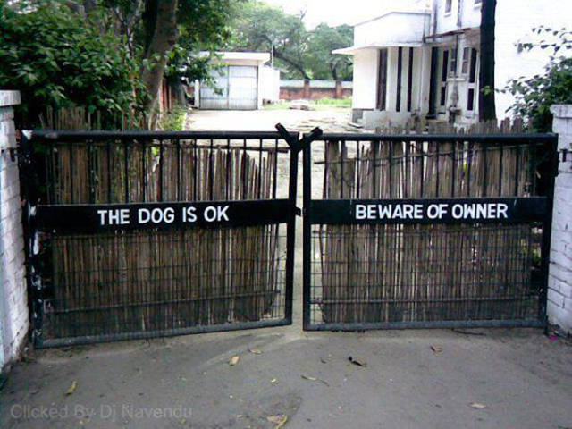 morning picdump 50 pics 12.html - 50 HD Photos | Premium Gallery 2016