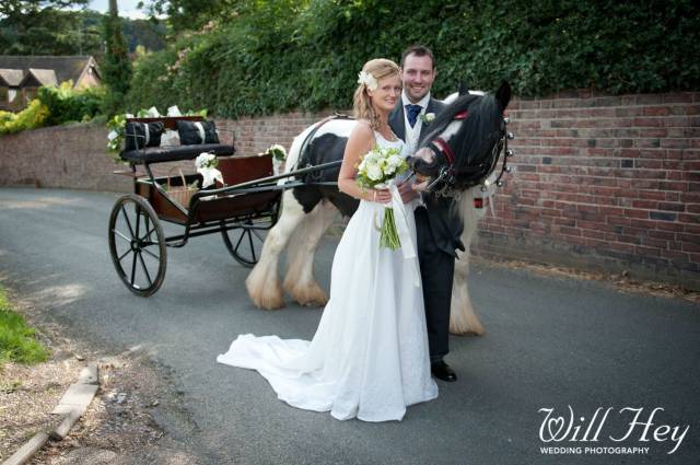 Because Photobombs Are Always Funny