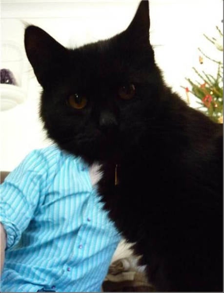 Because Photobombs Are Always Funny