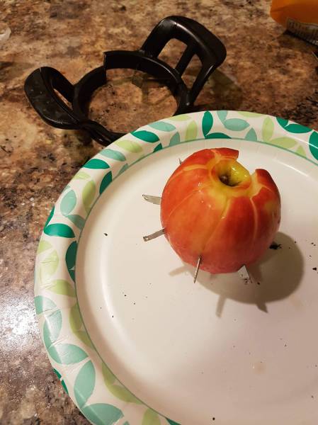 morning picdump 55 pics 21.html - 55 HD Photos | Premium Gallery 2016