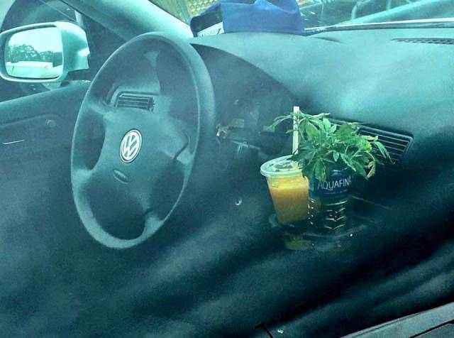 morning picdump 55 pics 21.html - 55 HD Photos | Premium Gallery 2016