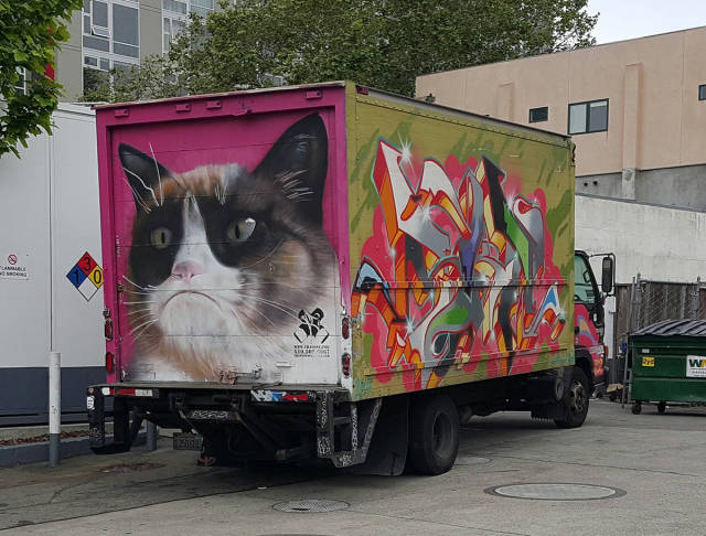 morning picdump 51 pics 2.html - 51 HD Photos | Premium Gallery 2016