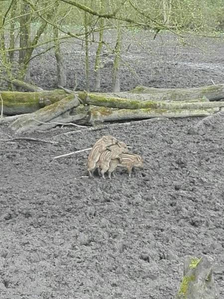 daily picdump 96 pics 37.html - 96 HD Photos | Premium Gallery 2016