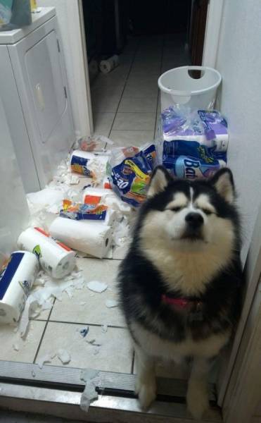 daily picdump 96 pics 37.html - 96 HD Photos | Premium Gallery 2016