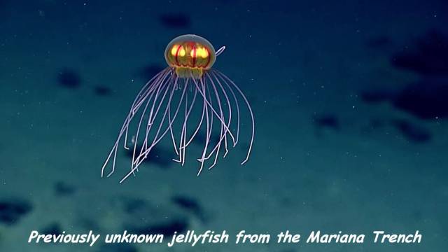 daily picdump 96 pics 37.html - 96 HD Photos | Premium Gallery 2016