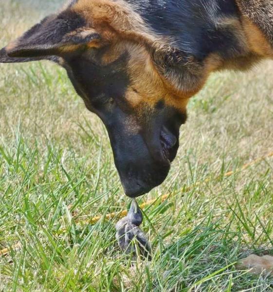 daily picdump 96 pics 37.html - 96 HD Photos | Premium Gallery 2016