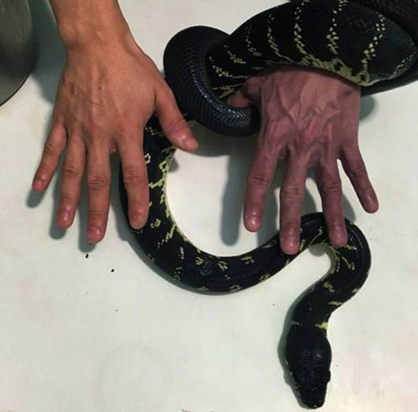 daily picdump 96 pics 37.html - 96 HD Photos | Premium Gallery 2016