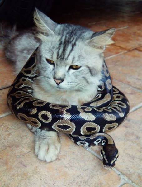 daily picdump 96 pics 37.html - 96 HD Photos | Premium Gallery 2016