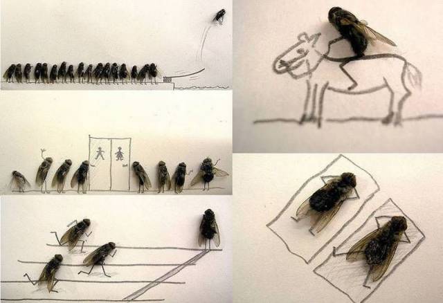 daily picdump 96 pics 37.html - 96 HD Photos | Premium Gallery 2016