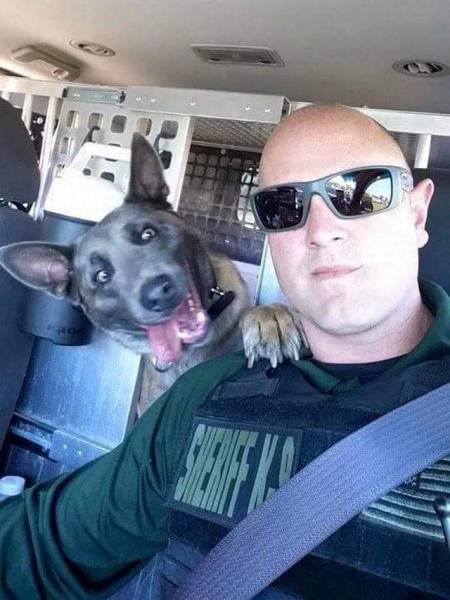 daily picdump 96 pics 37.html - 96 HD Photos | Premium Gallery 2016