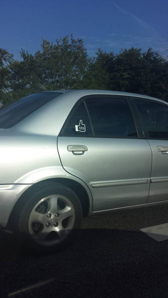 daily picdump 96 pics 37.html - 96 HD Photos | Premium Gallery 2016