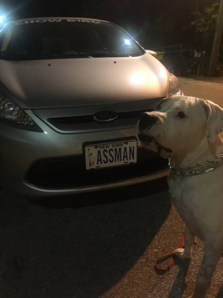 morning picdump 53 pics 18.html - 53 HD Photos | Premium Gallery 2016